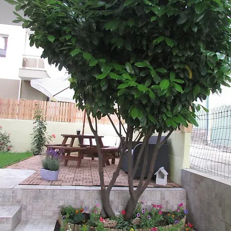 Diva Guest house Primorsko